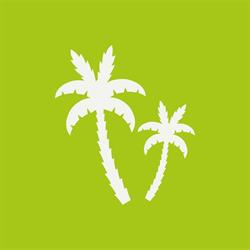 Kinderopvang De Palmboom, De Zilk openingstijden