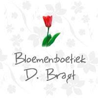 Gebr. Bragt, 's-Hertogenbosch openingstijden