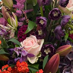 Van Stekelenburg Bloemen & Planten, Vught openingstijden