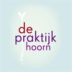 Praktijk voor Oefentherapie Vogelaar, Hoorn openingstijden
