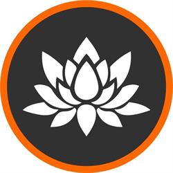 Dianthus, Praktijk voor Massage, Nieuw Heeten openingstijden