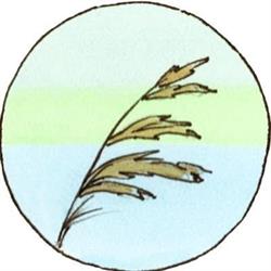 Natuurkampeerterrein "de Rietkraag", Lemelerveld openingstijden