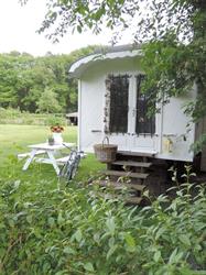 Bed & Breakfast Markelo, openingstijden
