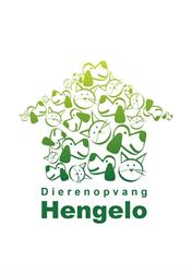 Stichting Dierenopvang Hengelo, openingstijden