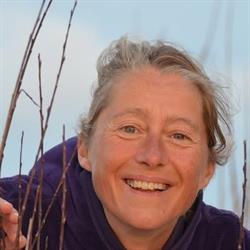 Praktijk voor fysiotherapie en natuurlijke therapieën Sanders, Haaksbergen openingstijden