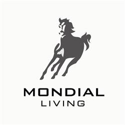 Mondial Living B.v., Hengelo openingstijden