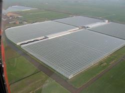 Peppers Unlimited B.v., IJsselmuiden openingstijden