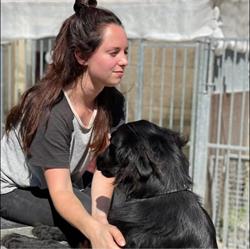 Dierenpension "Welgelegen" VOF, Biddinghuizen openingstijden
