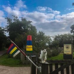 De Boekenboer, Formerum openingstijden