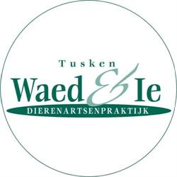 Dierenartsenpraktijk Tusken Waed en Ie, Stiens openingstijden