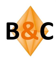 B & C Schoonmaakdiensten, Leeuwarden openingstijden
