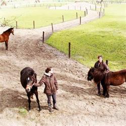 Stichting Manege Slichtenhorst, Nijkerk openingstijden