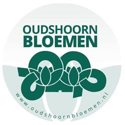 Oudshoorn Bloemen, Leusden openingstijden