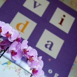 Vida (bedrijfs)makelaars og nvm, Mijdrecht openingstijden
