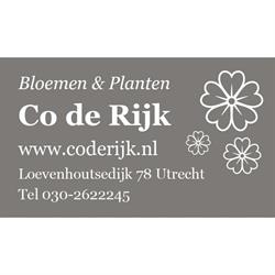 Co de Rijk Bloemen en Planten, Utrecht openingstijden