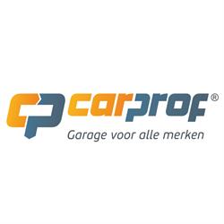 Autobedrijf Te Grotenhuis Woudenberg | CarProf, openingstijden