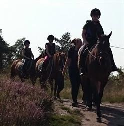 Krimhoeve-Veluwe Ranch, Hoenderloo openingstijden