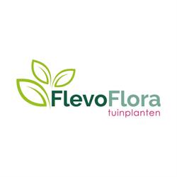 Flevoflora, Marknesse openingstijden