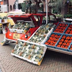Groente, Fruit en Rauwkost Specialist Simon Dragt, Vollenhove openingstijden