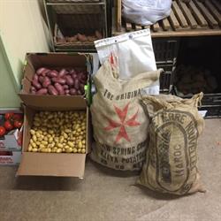 Het Aardappelpakhuis groente & fruit, Velp openingstijden