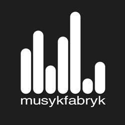 De Musykfabryk, Heerenveen openingstijden