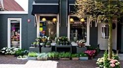 Bloemsierkunst 'de Lelie' V.o.f., Joure openingstijden