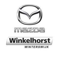 Autobedrijf D.h. Winkelhorst B.v., Winterswijk openingstijden