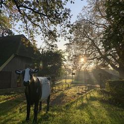 Aoverstep B.v., Neede openingstijden