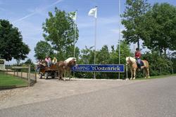 Camping 't Oostenriek, Megchelen openingstijden