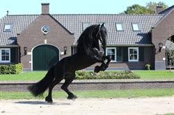 De Nieuwe Heuvel O.G. B.V., Lunteren openingstijden