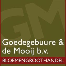 Goedegebuure & de Mooij B.v., Ede openingstijden