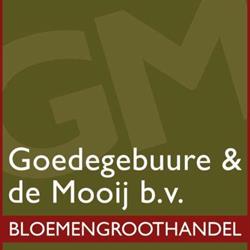 Goedegebuure & de Mooij B.v., Ede openingstijden