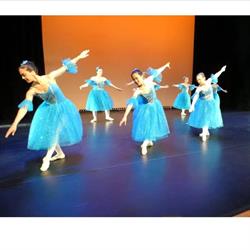 Dansstudio Poppelaars, Bennekom openingstijden