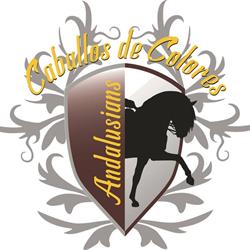 Caballos de Colores, Havelte openingstijden