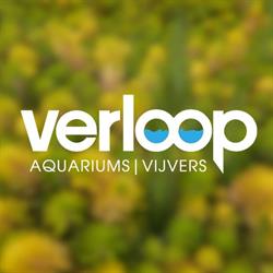 Verloop Vijverspeciaalzaak B.v., Hazerswoude-Dorp openingstijden
