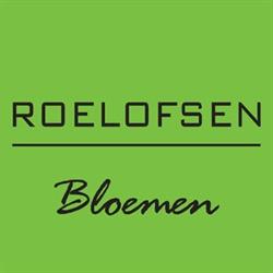Roelofsen Bloemen - Patrimoniumlaan, Veenendaal openingstijden