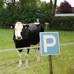 Mini Camping en Groepsaccommodatie "De Esrand", Sint Anthonis openingstijden