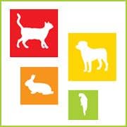 Dierenartsenpraktijk Laakkwartier, 's-Gravenhage openingstijden