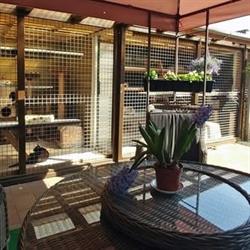 Kattenpension, Wormerveer openingstijden
