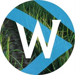 Waterman Onions B.v., Emmeloord openingstijden