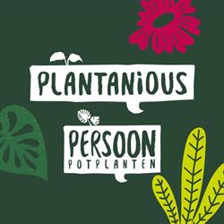 Persoon Potplanten, De Lier openingstijden