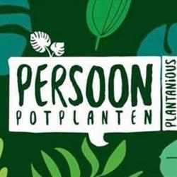 Persoon Potplanten, De Lier openingstijden