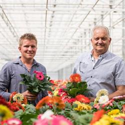 Firma Freek van der Velden, Delfgauw openingstijden