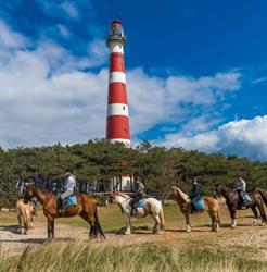 Rijstal Nella Dorien, Hollum openingstijden