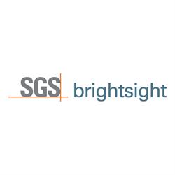 Brightsight B.v., Delft openingstijden