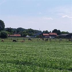 Stal Vermue, Heinkenszand openingstijden