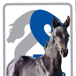 Unlimited Stables, Lunteren openingstijden