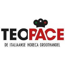 Handelsonderneming T. Pace B.v., Delfgauw openingstijden