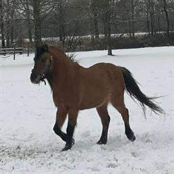 De Drostlerhoeve, Eibergen openingstijden