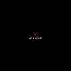 Alpha Security B.v. I.o., Haarlem openingstijden